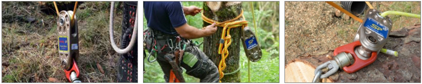 arborist rigging